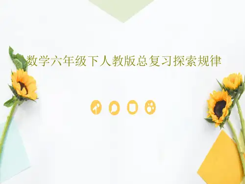 数学六年级下人教版总复习探索规律共26页
