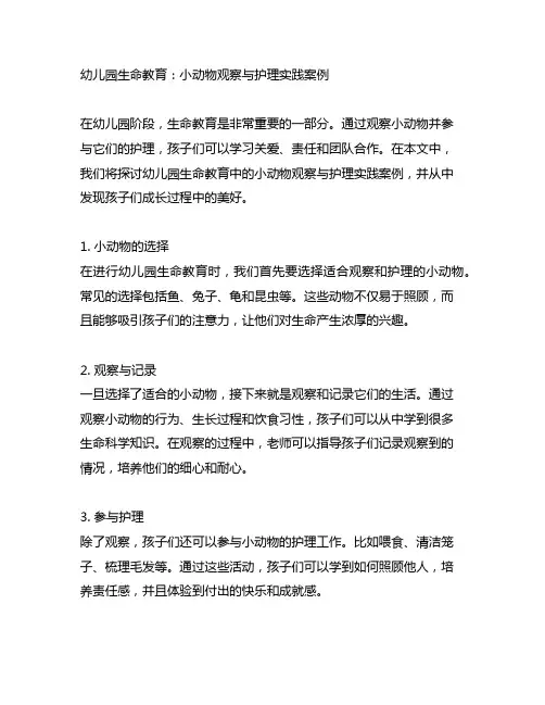 幼儿园生命教育：小动物观察与护理实践案例