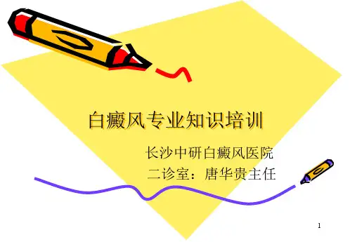 白癜风专业知识ppt课件