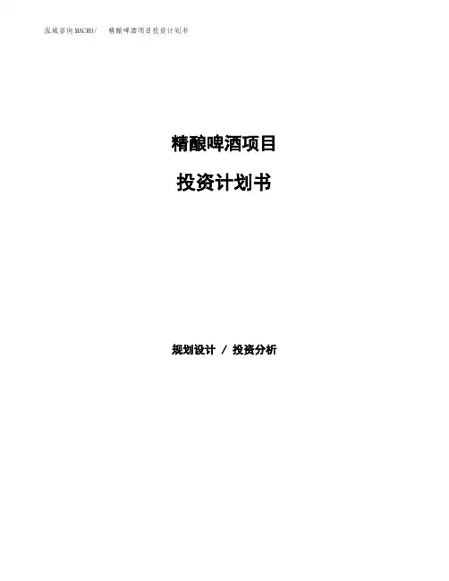 精酿啤酒项目投资计划书范本参考 (3)