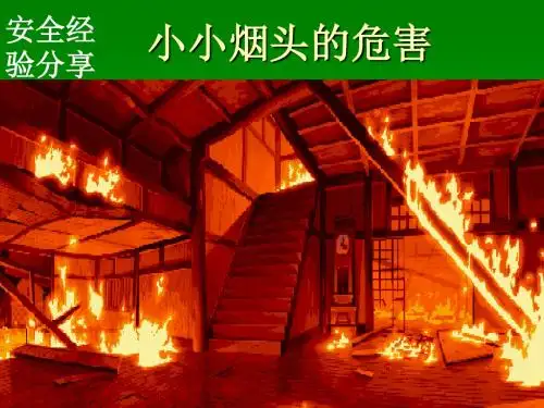 安全经验分享_小小烟头的危害 23页PPT文档