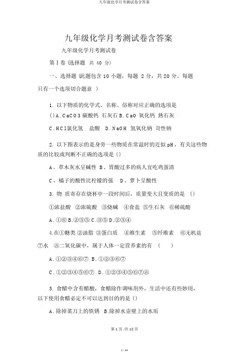 九年级化学月考测试卷含答案
