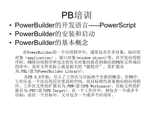 powerbuilder入门培训