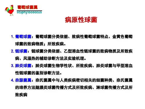 细菌学各论