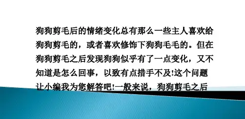 狗狗剪毛后的情绪变化