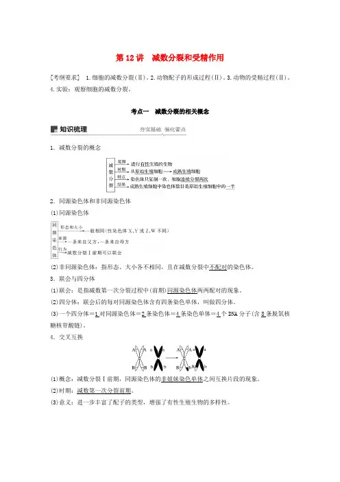2020版高考生物第四单元细胞的生命历程第12讲减数分裂和受精作用讲义(含解析)北师大版