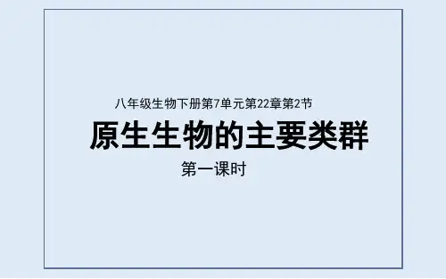 北师大版八年级生物下册教学课件：22.2 原生生物主要类群