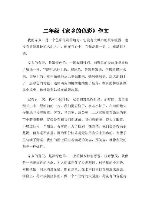 二年级《家乡的色彩》作文