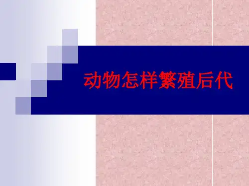 动物怎样繁殖后代_2010_12_3_11_35_20_319