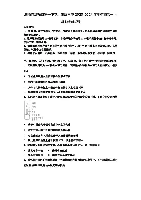 湖南省邵东县第一中学、娄底三中2023-2024学年生物高一上期末检测试题含解析