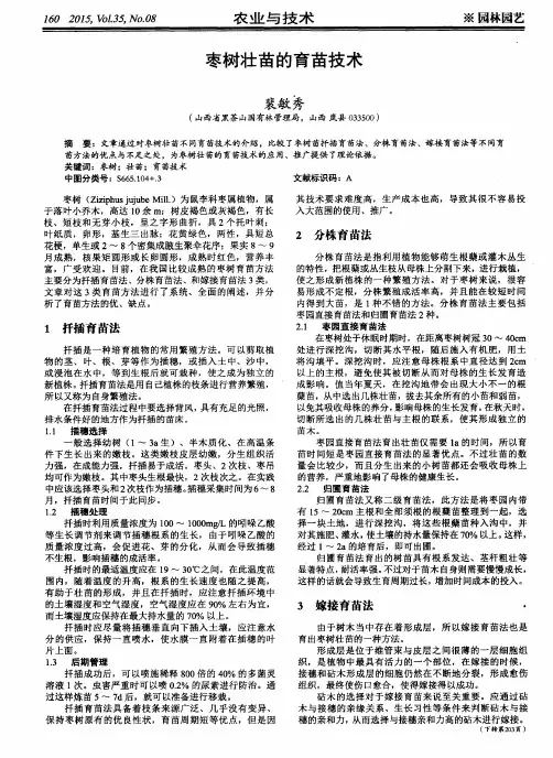 枣树壮苗的育苗技术