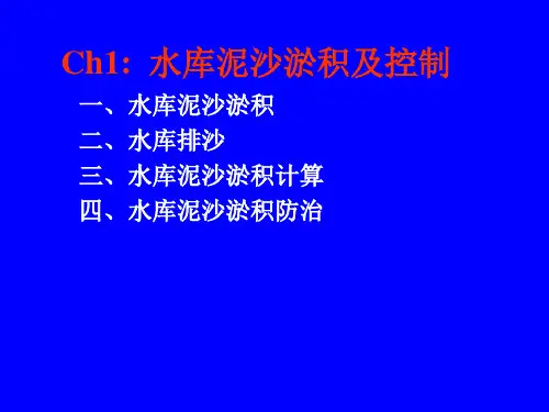 CH1  水库泥沙