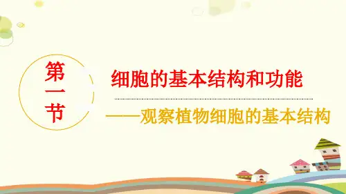 生物北师大七年级上册生物体的结构第一节细胞的基本结构和功能观察植物细胞的基本结构PPT