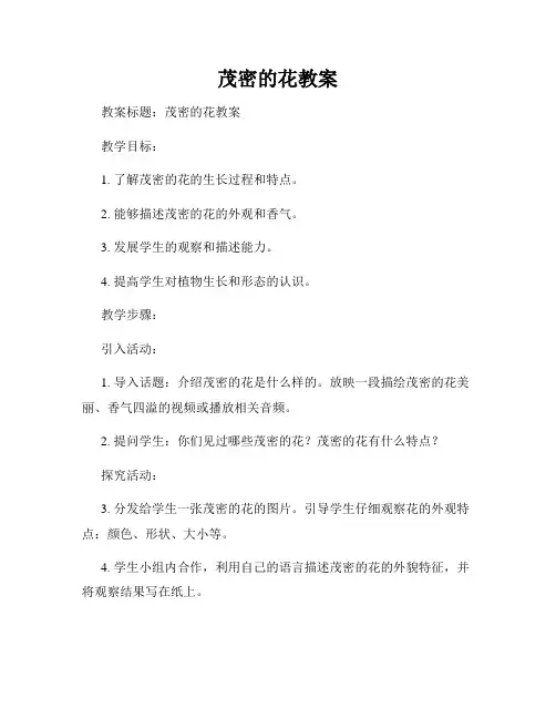 茂密的花教案