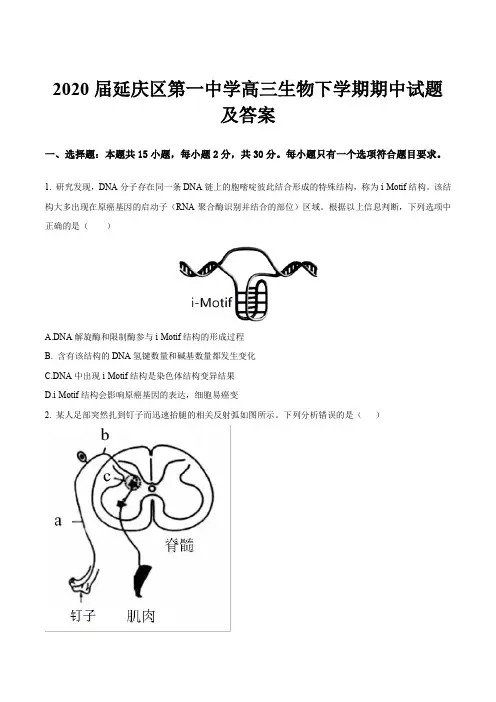 2020届延庆区第一中学高三生物下学期期中试题及答案