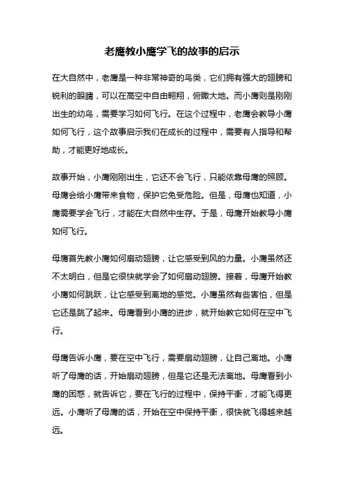 老鹰教小鹰学飞的故事的启示
