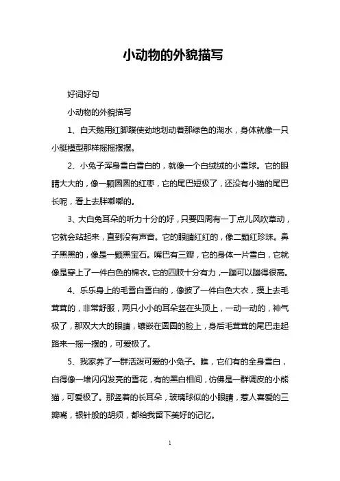 小动物的外貌描写