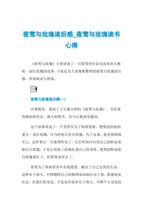 夜莺与玫瑰读后感_夜莺与玫瑰读书心得