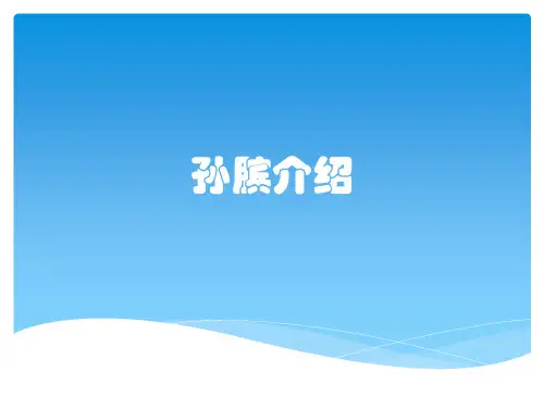 孙膑介绍