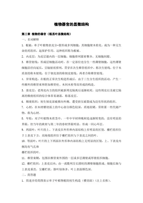 植物器官的显微结构(二)