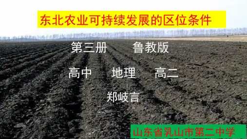 2019年-东北农业可持续发展的区位条件第一课时-PPT精选文档