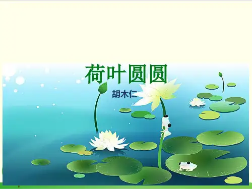 部编教材一年级下册语文《荷叶圆圆》完美PPT1