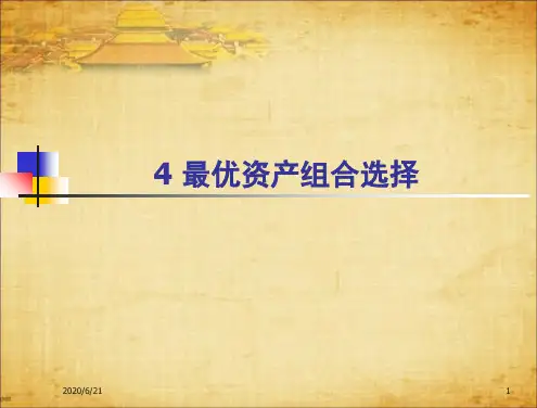第4章最优资产组合..教程文件