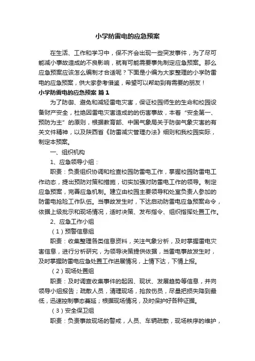小学防雷电的应急预案
