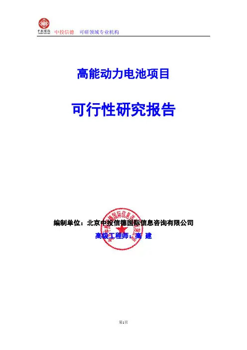 高能动力电池项目可行性研究报告编写格式及参考(模板word)