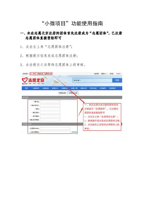 “小微项目”功能使用指南