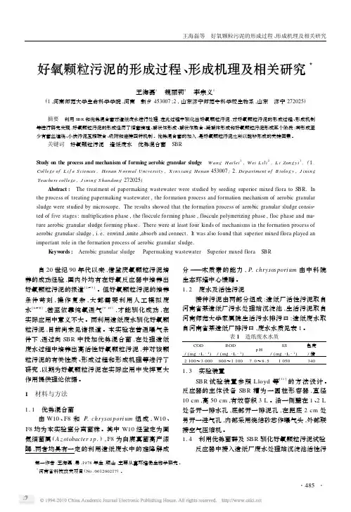 好氧颗粒污泥的形成过程_形成机理及相关研究