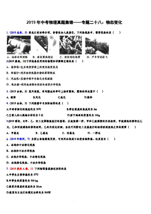 2019年中考物理真题集锦——专题二十八：物态变化(含答案)