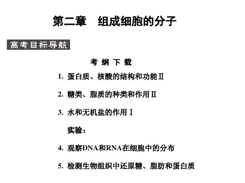 高考生物备考精品复习课件-组成细胞的分子
