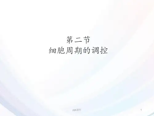 细胞增殖及其调控  ppt课件