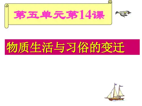 人教版高中历史必修二第14课  物质生活与习俗的变迁(共28张ppt)