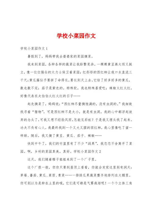 学校小菜园作文