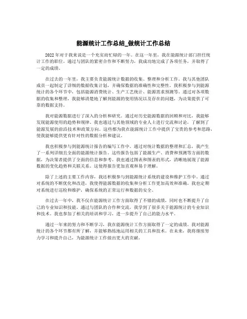 能源统计工作总结_做统计工作总结