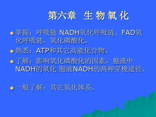 第六章生物氧化 (2)