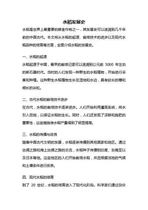 水稻发展史