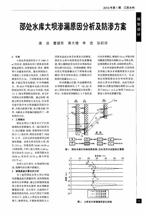 邵处水库大坝渗漏原因分析及防渗方案