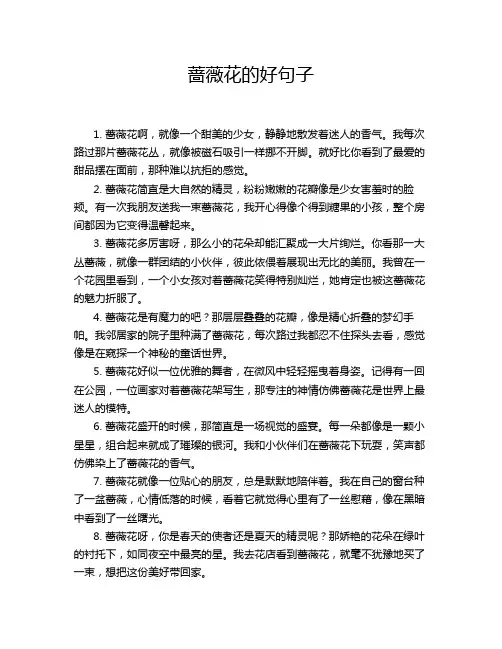 蔷薇花的好句子