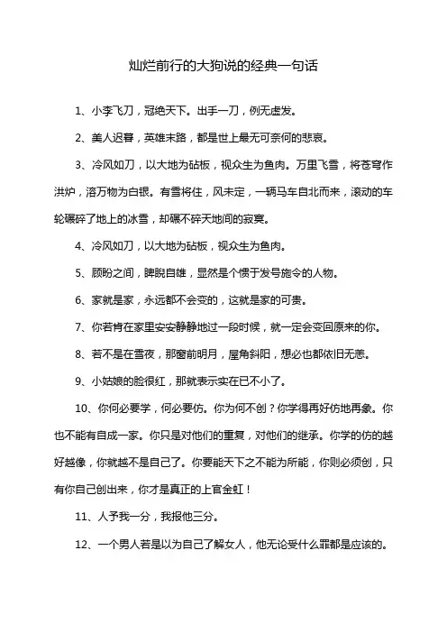 灿烂前行的大狗说的经典一句话