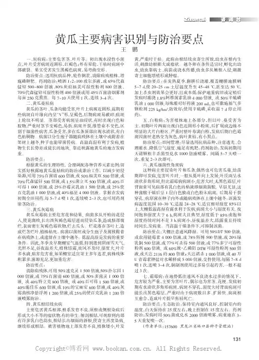 黄瓜主要病害识别与防治要点