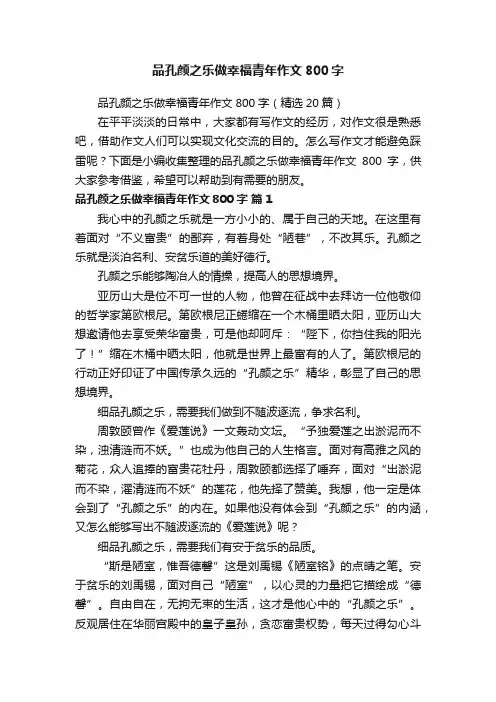 品孔颜之乐做幸福青年作文800字