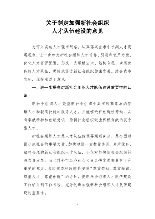 制定加强新社会组织人才队伍建设的意见