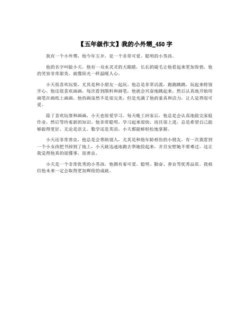 【五年级作文】我的小外甥_450字