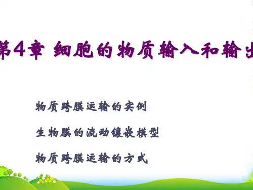 人教版高中生物必修一：第4章 细胞的物质输入和输出课件