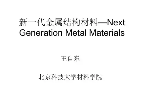 新一代金属材料—Next+Generation+Metal+Ma王自东分析
