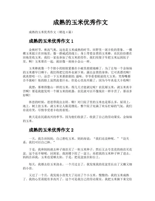 成熟的玉米优秀作文
