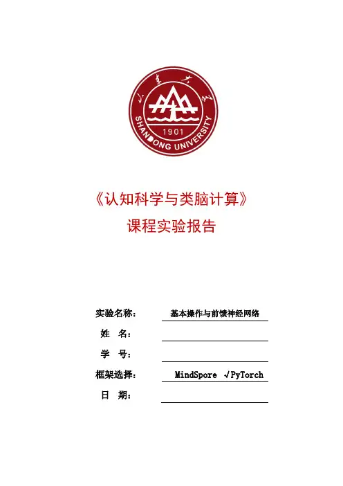 山东大学前馈神经网络实验报告
